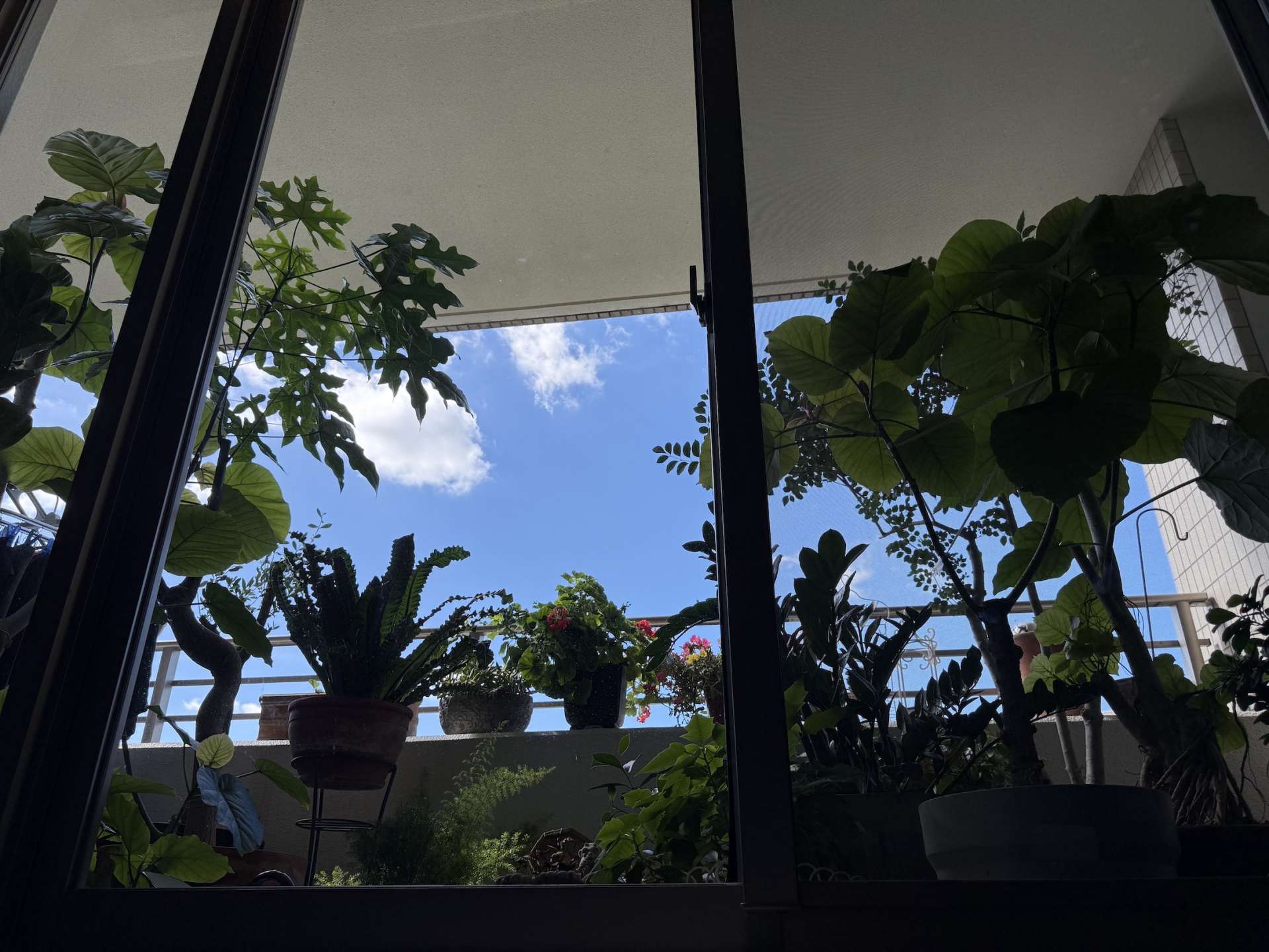 夏休み、始まりましたね!